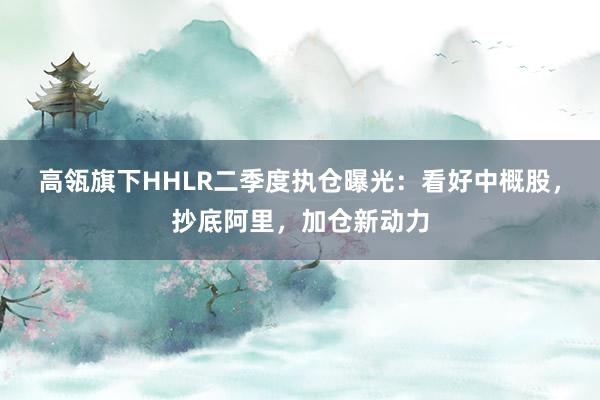 高瓴旗下HHLR二季度执仓曝光：看好中概股，抄底阿里，加仓新动力